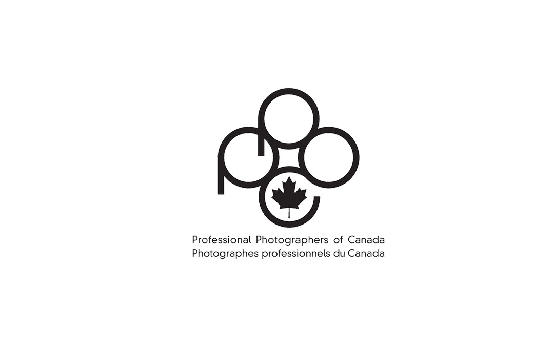 Site Dudes + PPOC: A Partnership to Help Photographers Rank Higher and Get Booked